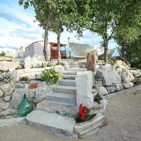 Camp House Miocic *