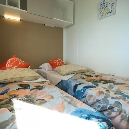 Camp House Miocic *